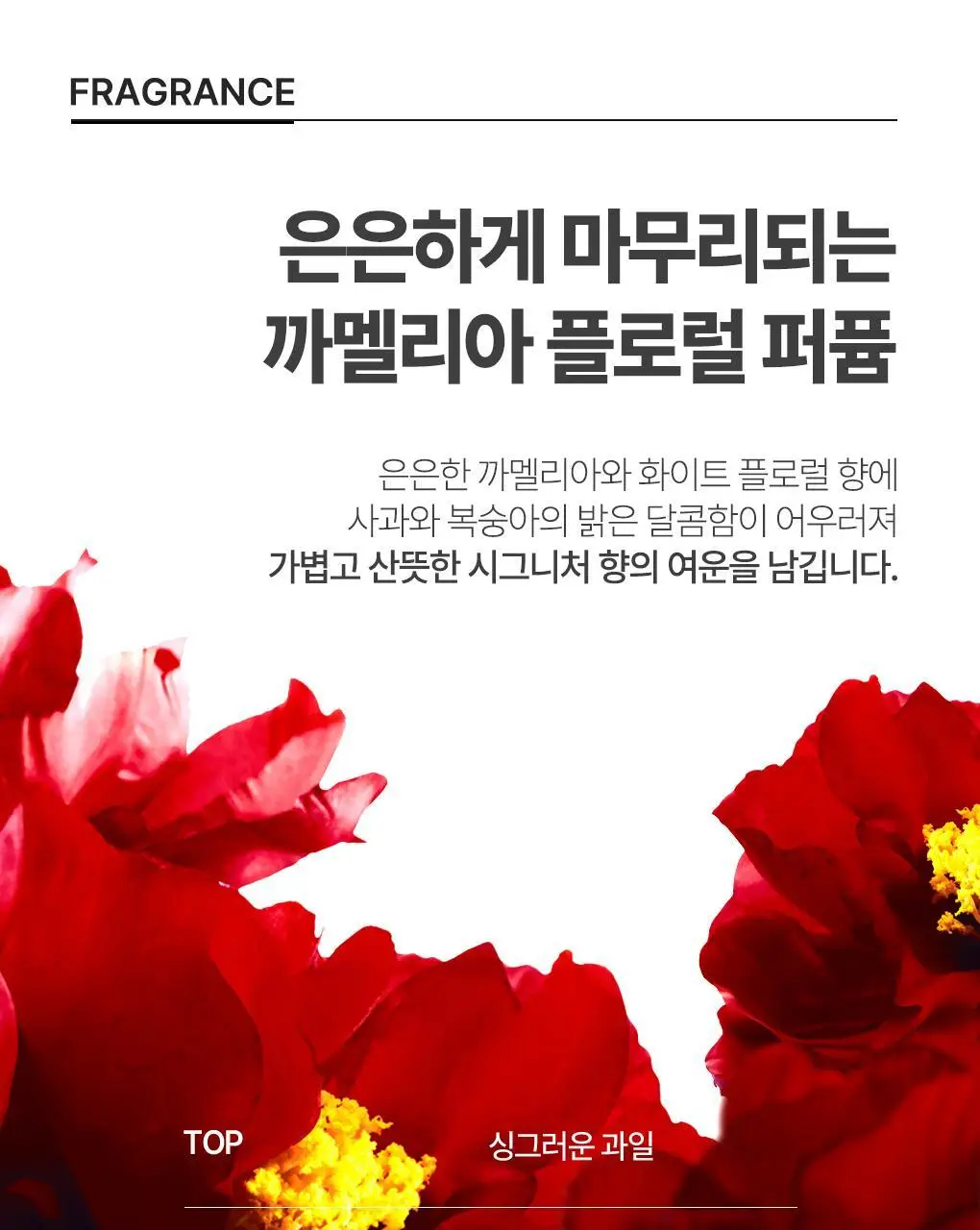 [뿌리볼륨 풀케어] 츠바키 프리미엄 볼륨 & 리페어 샴푸 컨디셔너 2종 기획 상세페이지 41
